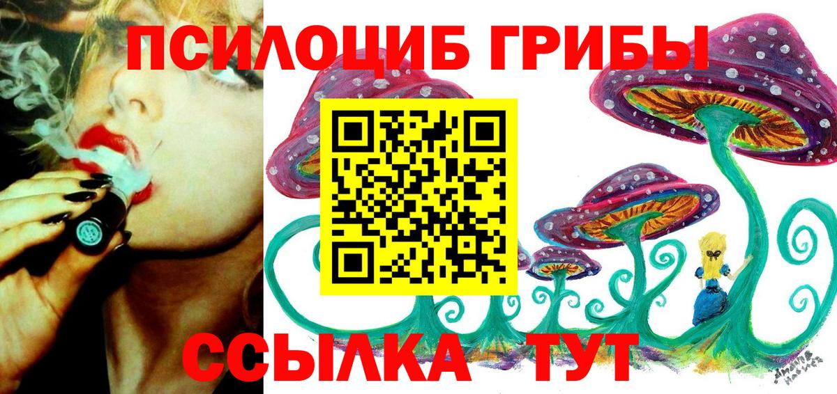 Зима  Галлюциногенные грибы Cubensis  Вход с VPN 