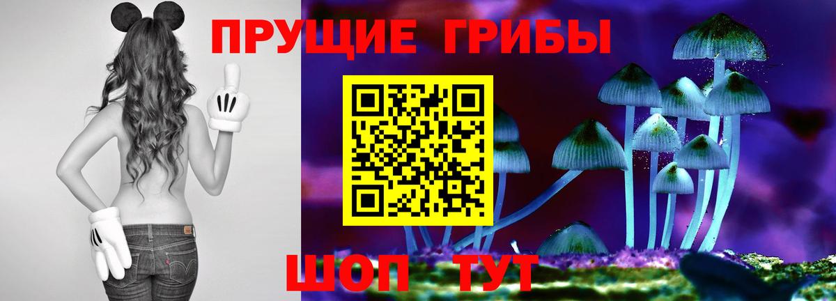 Галлюциногенные грибы мухоморы Зима